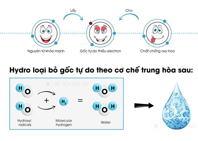 Máy lọc nước điện giải ion kiềm Lifecore 7200 tạo ra nước ion kiềm chứa hydro