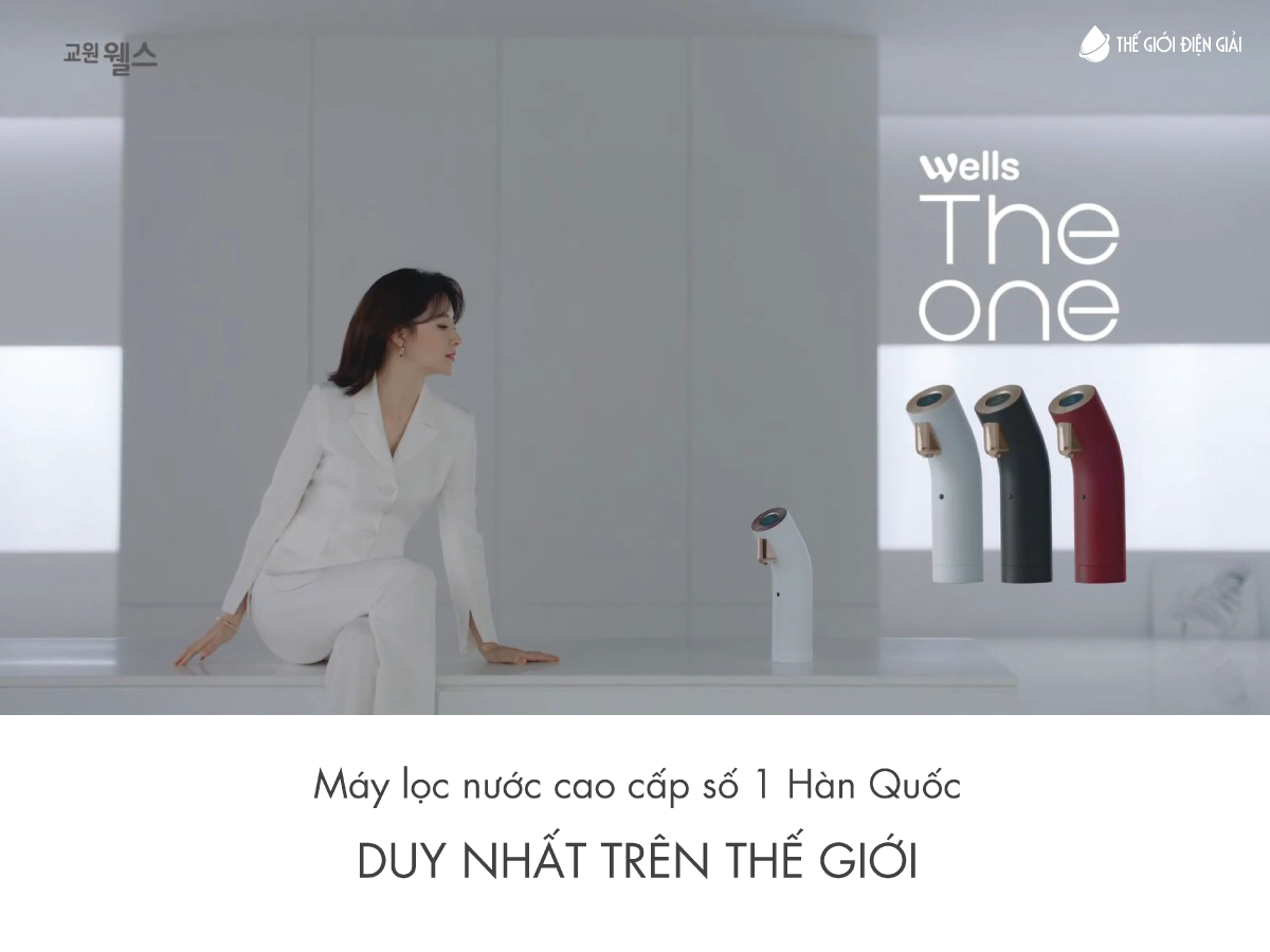 Máy lọc nước Wells The One có tốt không?