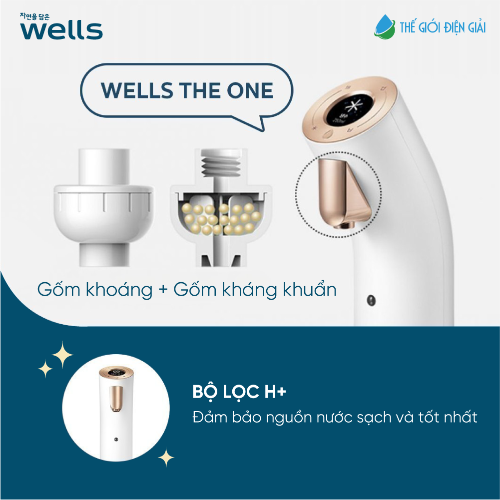 Máy lọc nước Wells The One có đảm bảo an toàn không?