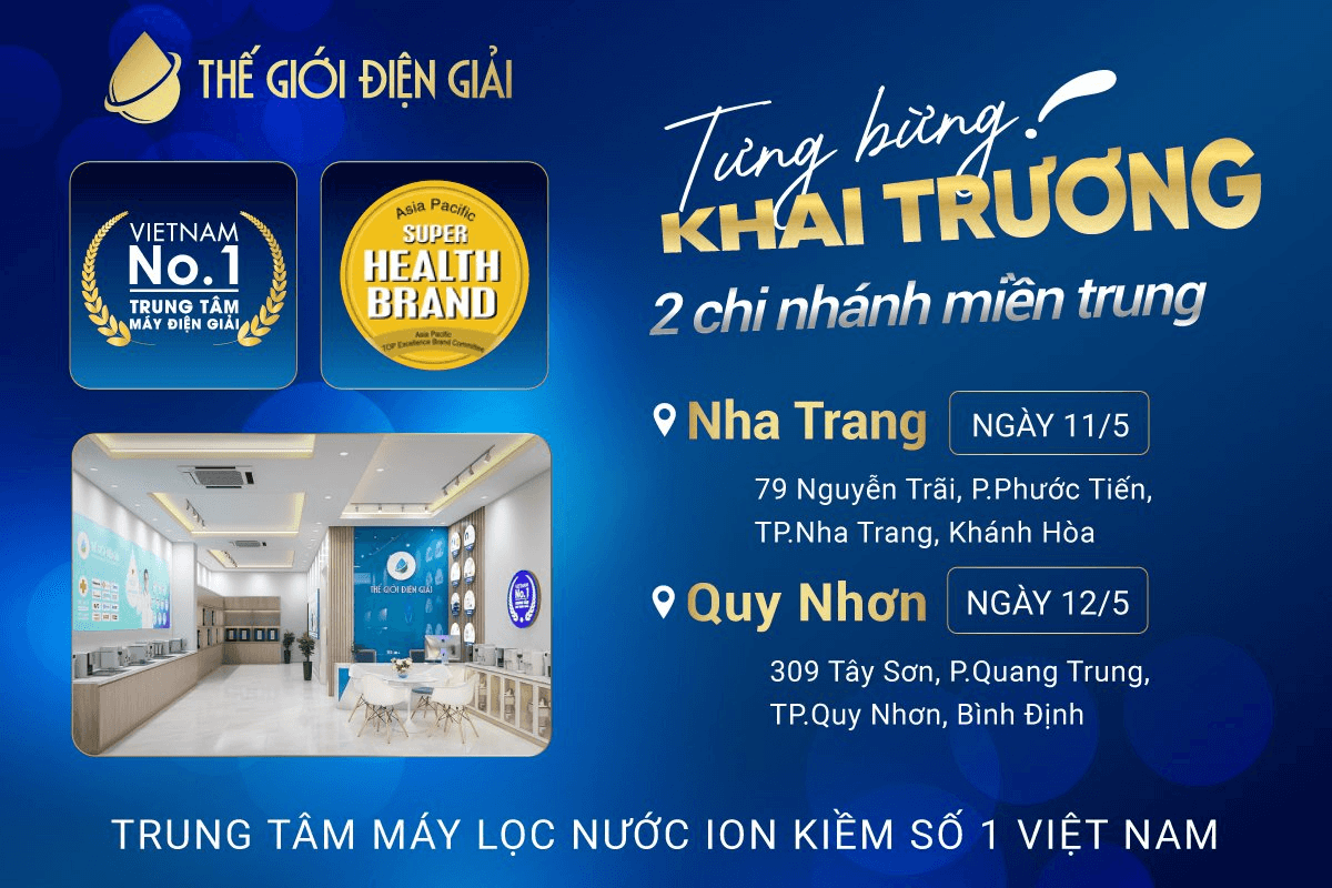 Thế Giới Điện Giải khai trương 2 chi nhánh miền Trung