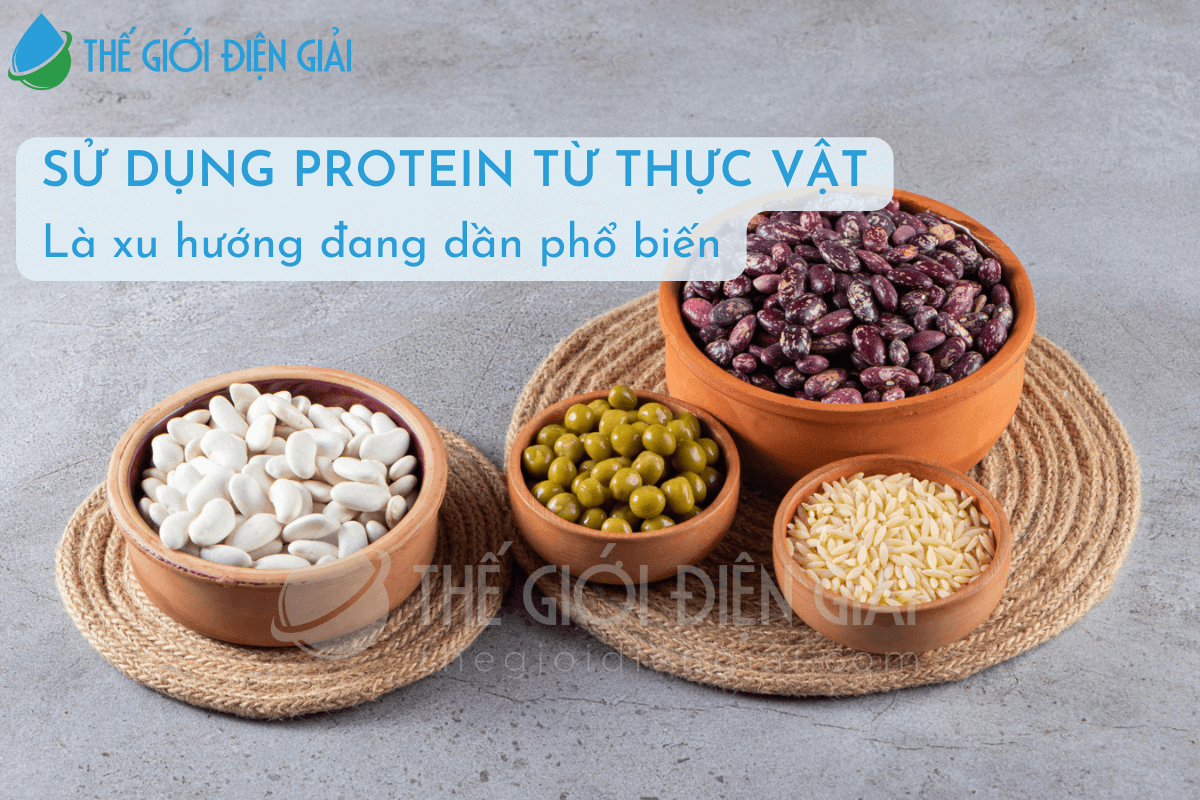 Nên chọn protein từ thực vật