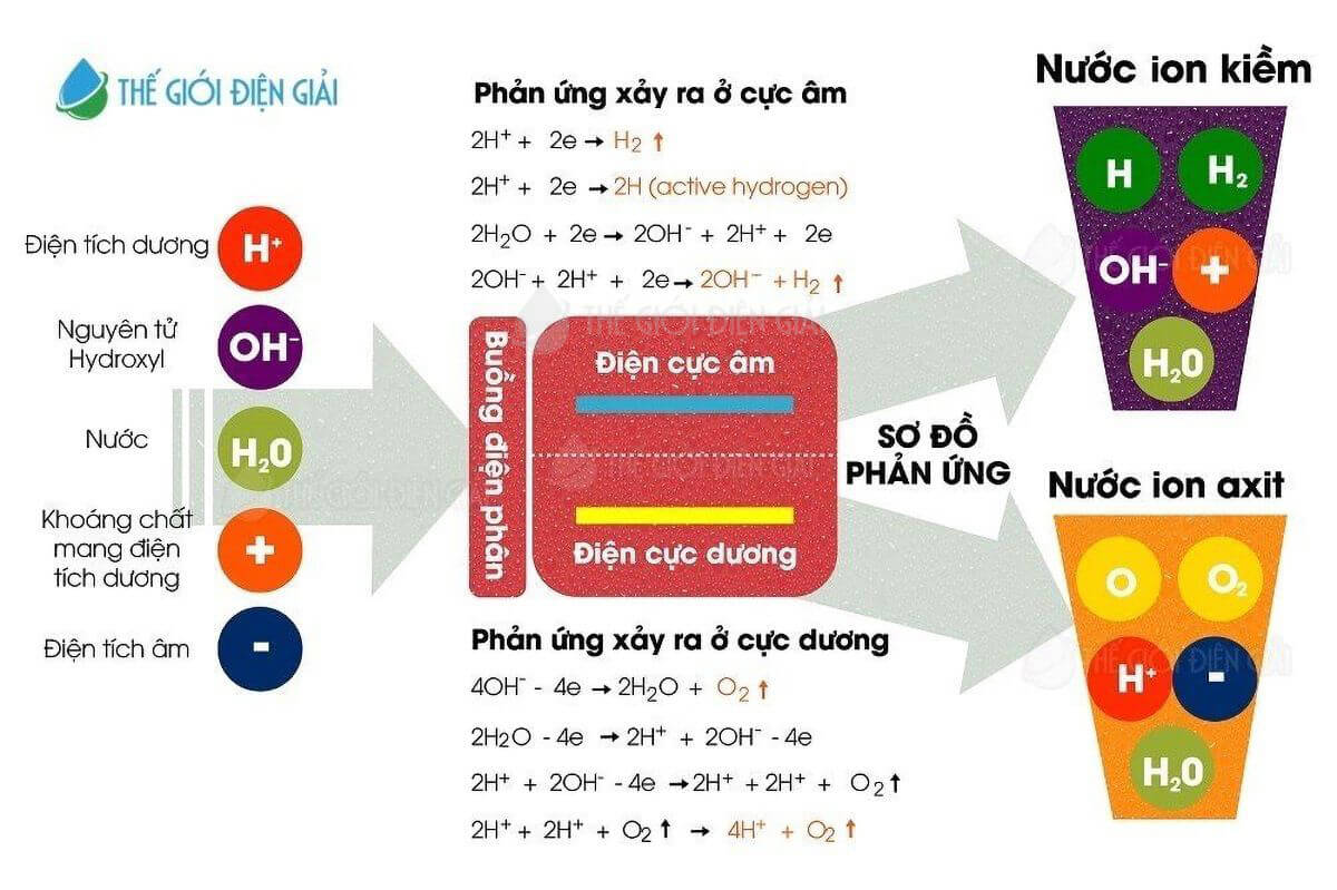 Phản ứng tạo nước ion kiềm