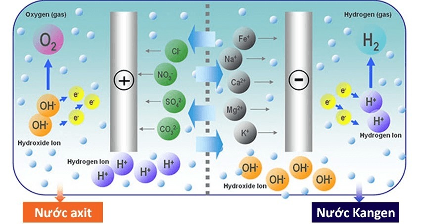 Máy lọc nước điện giải ion kiềm siêu bền hoạt động như thế nào?