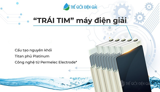 Máy điện giải Kangen LeveLuk SD501 có mấy tấm điện cực?