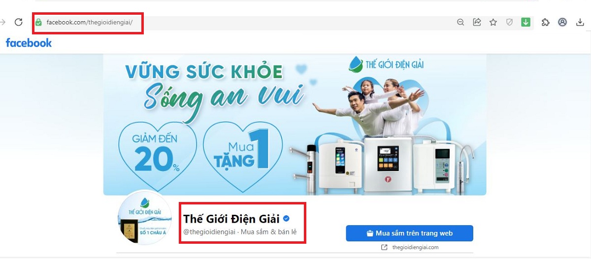 Nhận diện fanpage Thế Giới Điện Giải