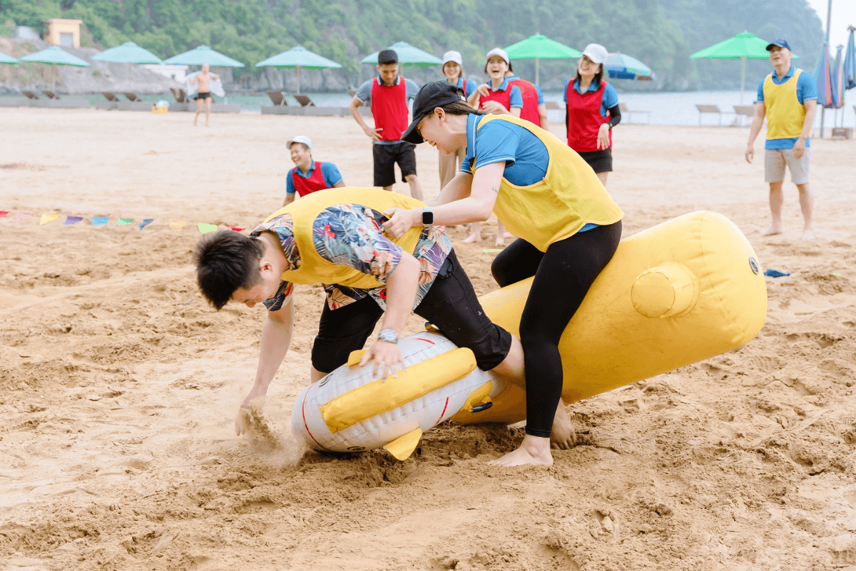 team-building-mien-bac-2024-7.png?1714383517006