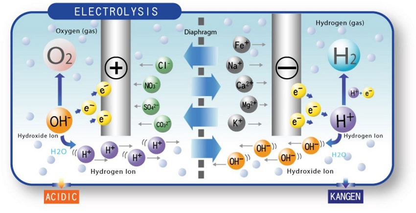 Các tấm điện cực của máy lọc nước điện giải ion kiềm Panasonic có khả năng phân tách nước thành các ion H+ và OH-