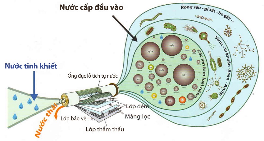 Sau khi đi qua màng lọc RO nước sẽ không còn giữ lại được những khoáng chất cần thiết