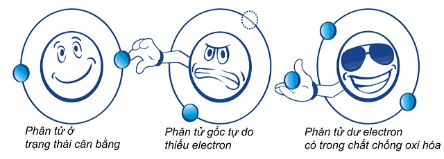 Cách hoạt động của gốc tự do