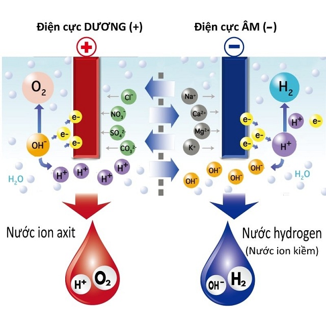 Cách tạo ra nước iON kiềm