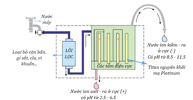 Sơ đồ hoạt động của tấm điện cực