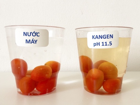 “Sốt Xình Xịch” những dòng máy giúp bạn bóc tách chất độc trên thực phẩm