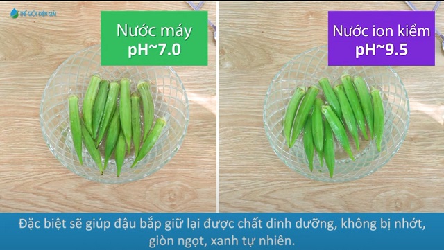 Top 3 máy điện giải ion kiềm dành cho nhà hàng, quán ăn đáng mua!