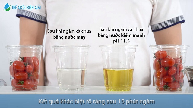 Top 3 máy điện giải ion kiềm dành cho nhà hàng, quán ăn đáng mua!