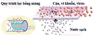 Nguyên lí hoạt động của máy lọc nước Pi Biontech