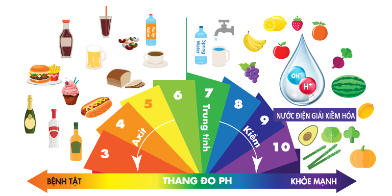 Thang đo pH của thực phẩm