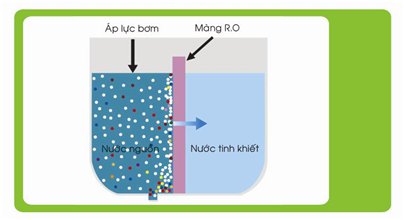 Cục lọc nước