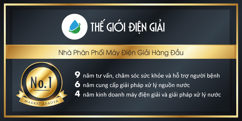 Thành tích mà Thế Giới Điện Giải đạt được