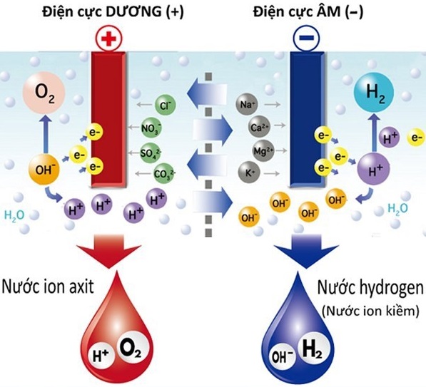 Quá trình điện phân nước