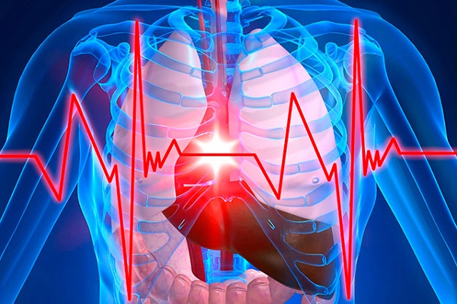 Kết quả một số công trình nghiên cứu cho thấy trước khi đi ngủ, uống một cốc nước có thể giúp phòng ngừa chứng tai biến mạch máu não và các bệnh tim mạch khác nhau