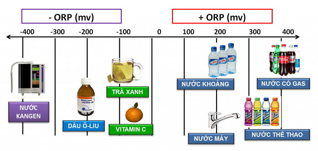 thang đo chỉ số orp trong thực phẩm hàng ngày