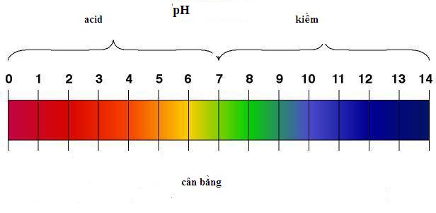 Thang đo độ pH