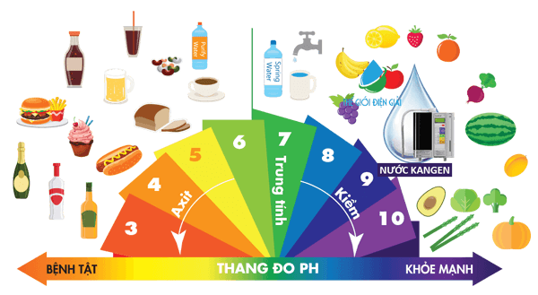 Thực phẩm có tính axit - tính kiềm